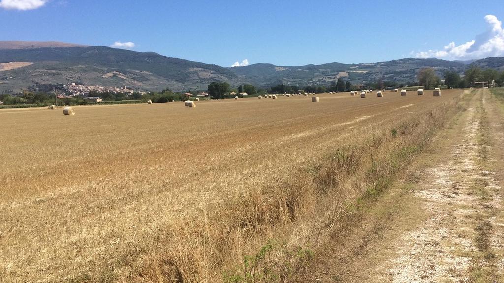 Podere Le Volte Degli Angeli سبيلّو المظهر الخارجي الصورة